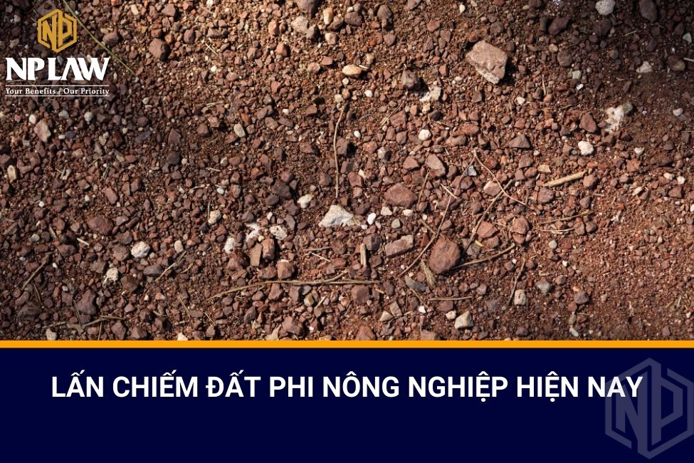 Lấn chiếm đất phi nông nghiệp hiện nay