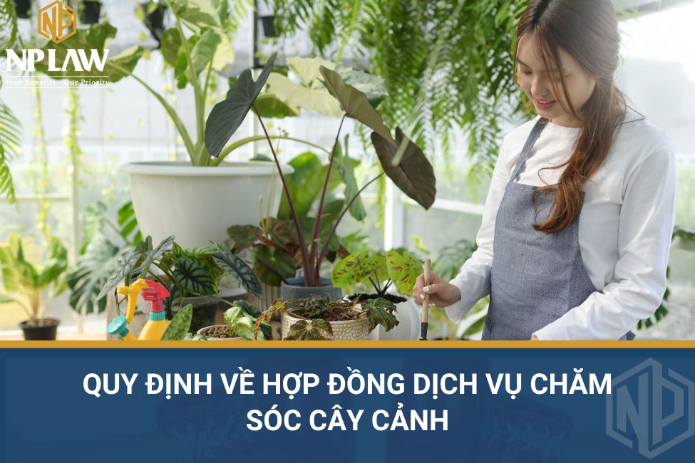 Quy định về hợp đồng dịch vụ chăm sóc cây cảnh