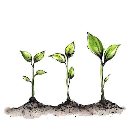 Production facilities for plant varieties