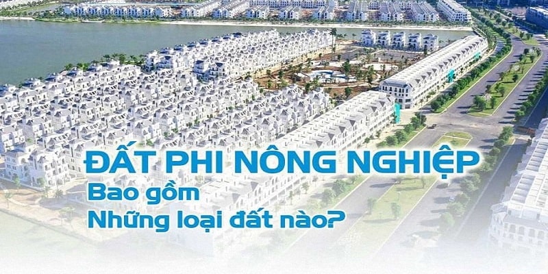 Quy định về đất phi nông nghiệp