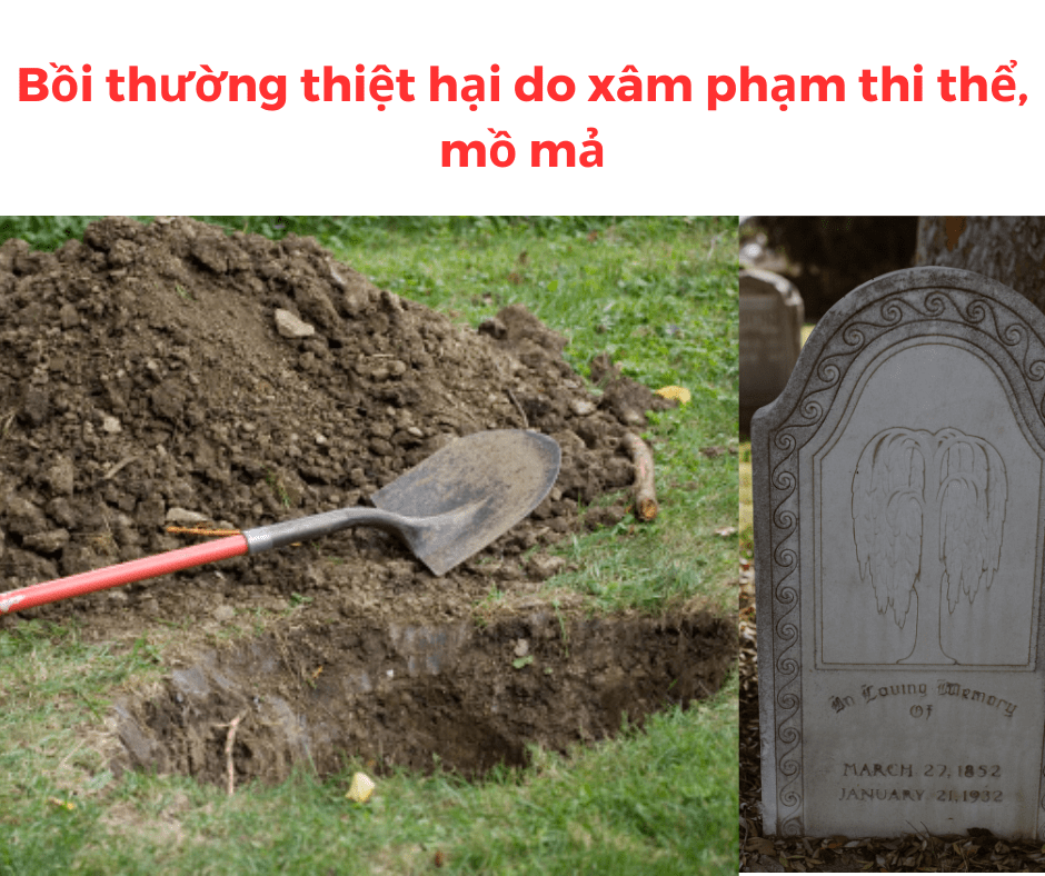 Trách nhiệm bồi thường thiệt hại do xâm phạm thi thể, mồ mả