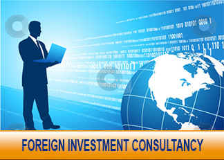 Foreign investment consultancy