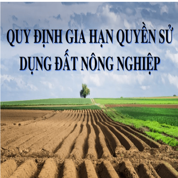 Các trường hợp gia hạn quyền sử dụng đất nông nghiệp tại nông thôn