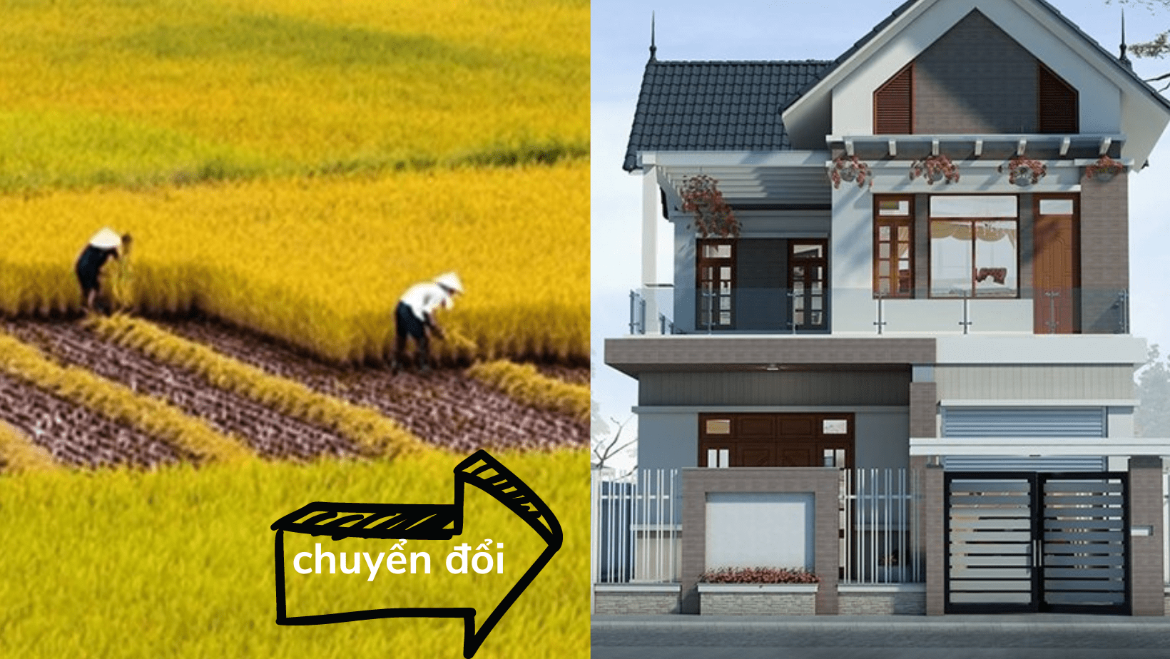 Chuyển đất trồng lúa sang đất ở