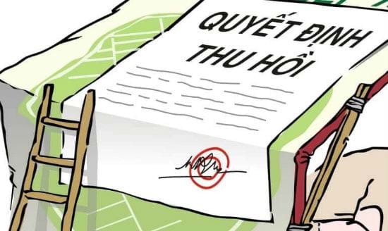 Quy định của pháp luật về thu hồi đất nông nghiệp trồng lúa