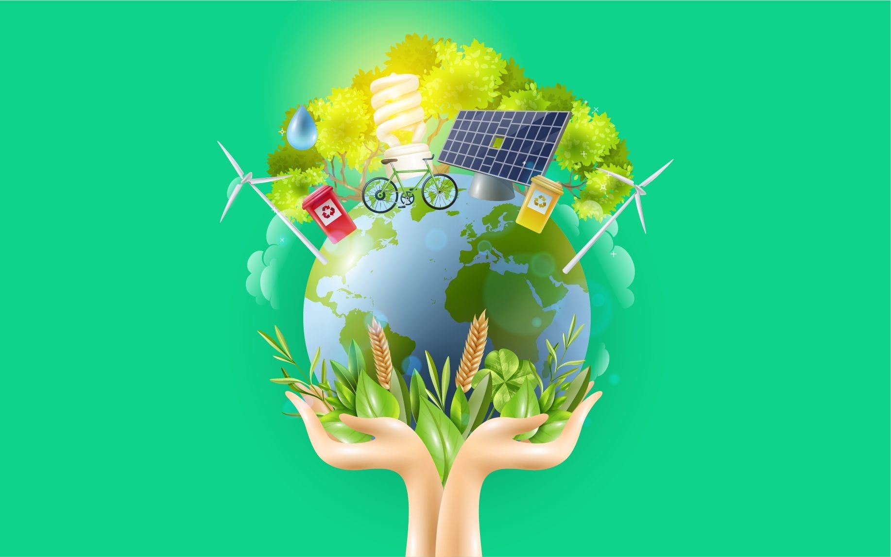 Legal regulations on an  environmental license
