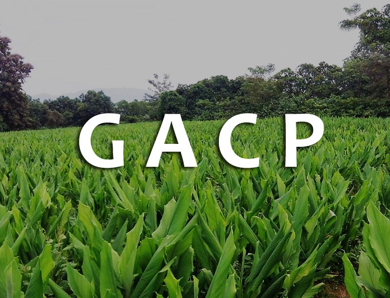 评估良好农业和采集规范（gacp）标准合规性的必要规定
