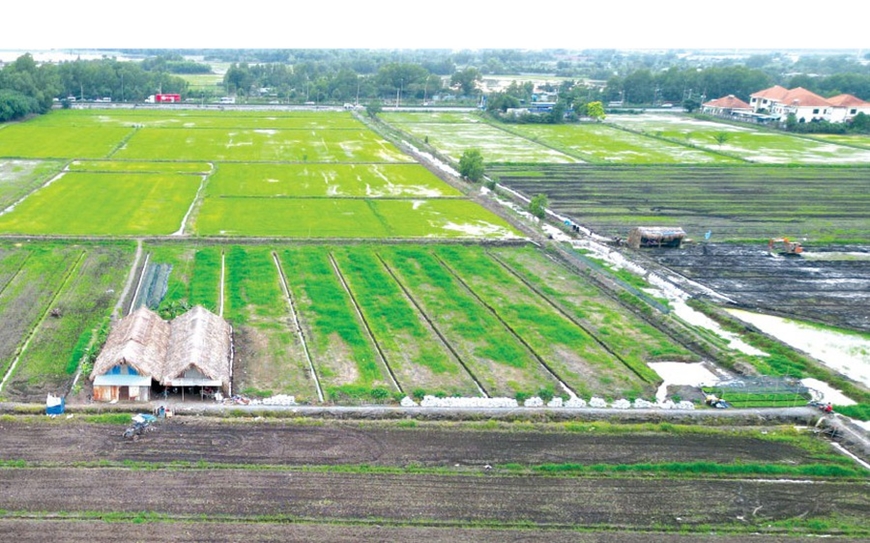 Nguyên tắc thực hiện giảm tiền thuê đất