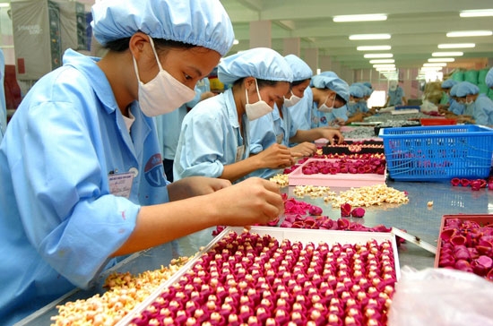 Doanh nghiệp chế xuất có được bán hàng nội địa không?