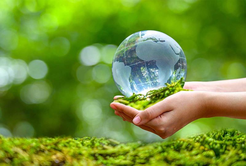 Thủ tục điều chỉnh giấy phép môi trường
