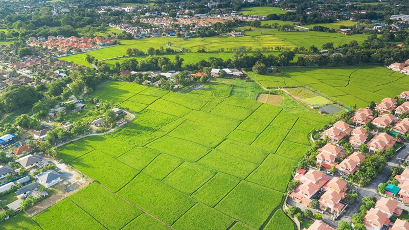 Quy định pháp luật về gia hạn tiền thuê đất