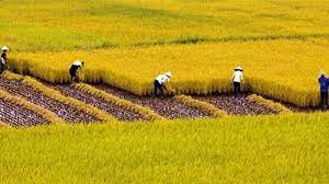 /upload/images/giay-phep/hinh-anh-1(10).jpeg