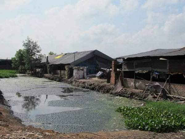 /upload/images/giay-phep/hinh-anh-1(8).jpeg