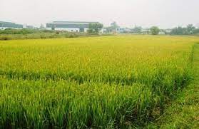 /upload/images/giay-phep/hinh-anh-2(8).jpeg