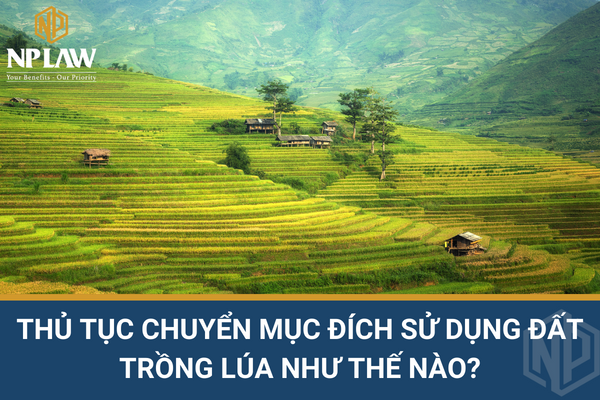 THỦ TỤC CHUYỂN MỤC ĐÍCH SỬ DỤNG ĐẤT TRỒNG LÚA NHƯ THẾ NÀO?