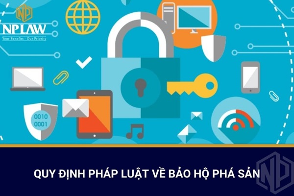 QUY ĐỊNH PHÁP LUẬT VỀ BẢO HỘ PHÁ SẢN