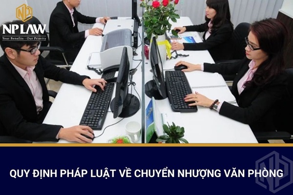 QUY ĐỊNH PHÁP LUẬT VỀ CHUYỂN NHƯỢNG VĂN PHÒNG