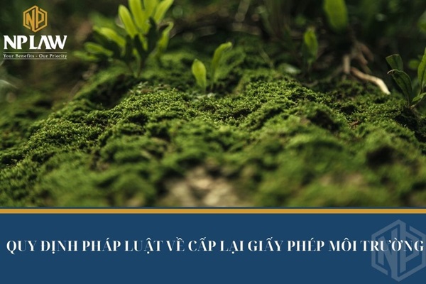 QUY ĐỊNH PHÁP LUẬT VỀ CẤP LẠI GIẤY PHÉP MÔI TRƯỜNG
