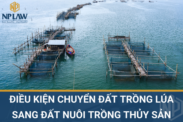 ĐIỀU KIỆN CHUYỂN ĐẤT TRỒNG LÚA SANG ĐẤT NUÔI TRỒNG THỦY SẢN