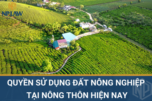 PHÁP LUẬT VỀ QUYỀN SỬ DỤNG ĐẤT NÔNG NGHIỆP TẠI NÔNG THÔN HIỆN NAY