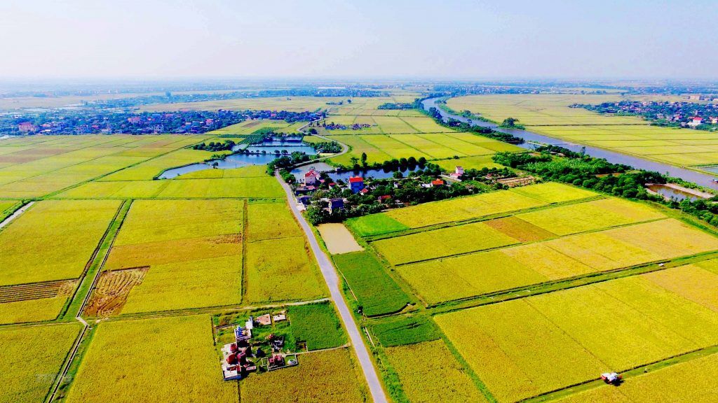 Thẩm quyền cho phép chuyển đổi từ đất nông nghiệp sang đất kinh doanh
